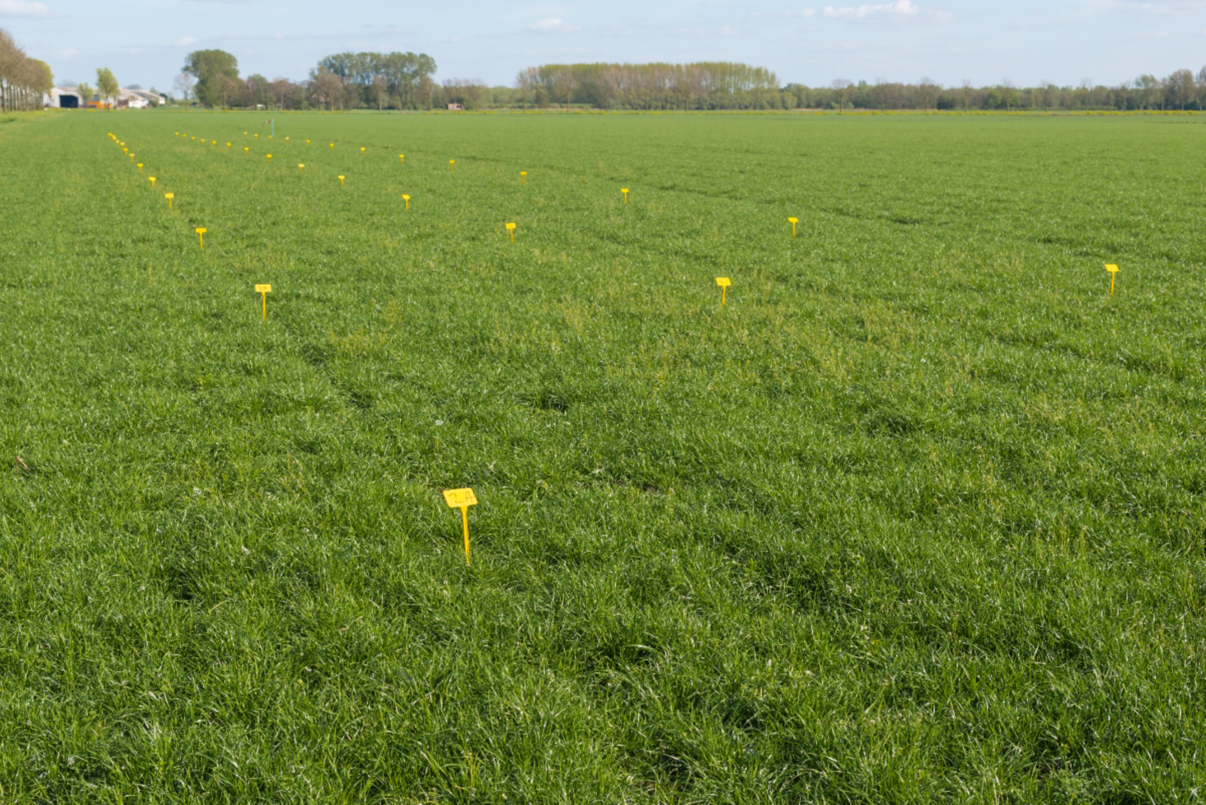 ‘One Trial is No Trial’: The Importance of Field Trials for New AgTech