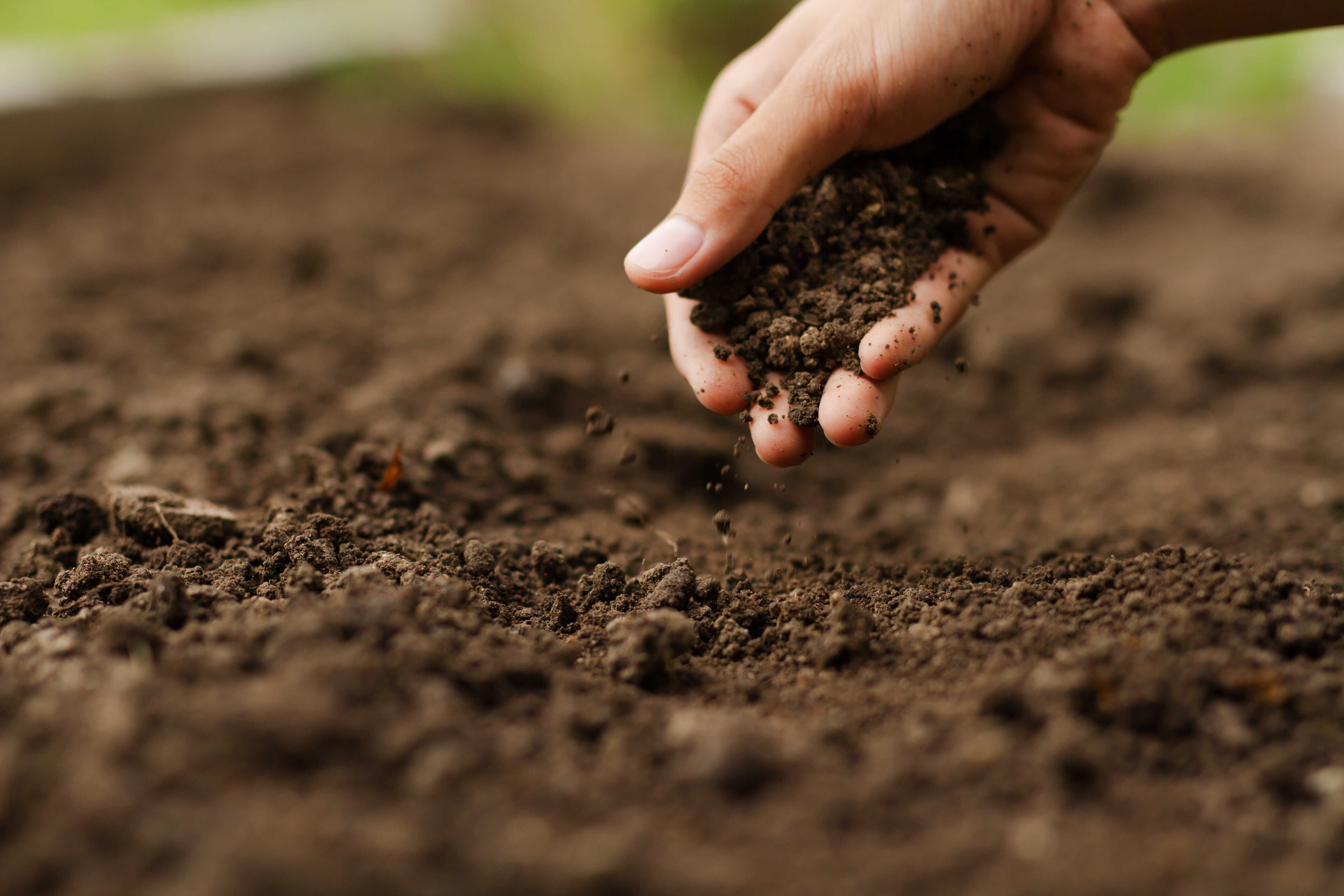 How NEO can optimise your nutrient management plan